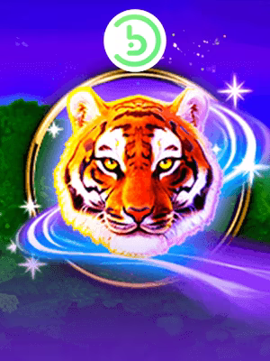 Tiger Stone