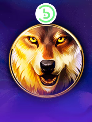 Wolf Night