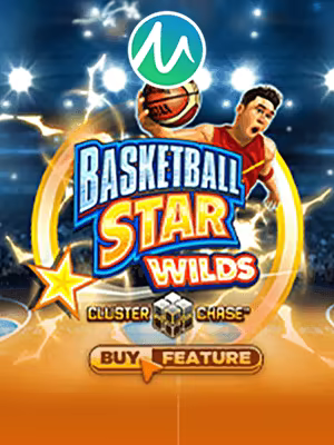 Basketball Star Wilds