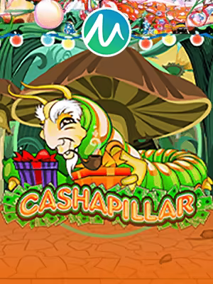Cashapillar