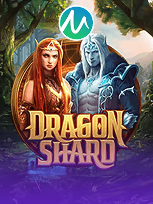 Dragon Shard