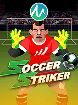 Soccer Striker