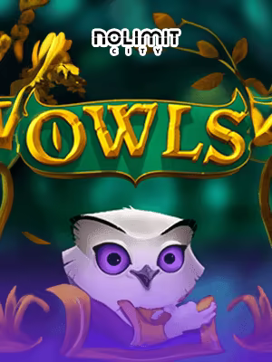 Owls