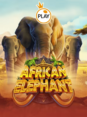 Gajah Afrika