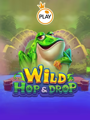 Hop & Drop Liar