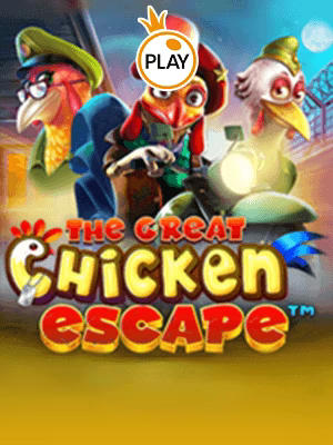 Kaburnya Ayam Terbaik