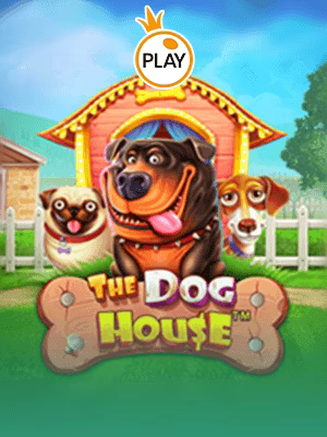 Rumah Anjing_3010167