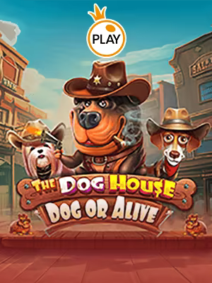 The Dog House – Dog or Alive