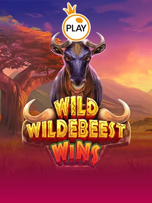 Wild Wildebeest Wins