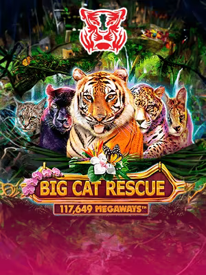 Penyelamatan Kucing Besar Megacara