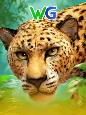Macan Tutul Emas